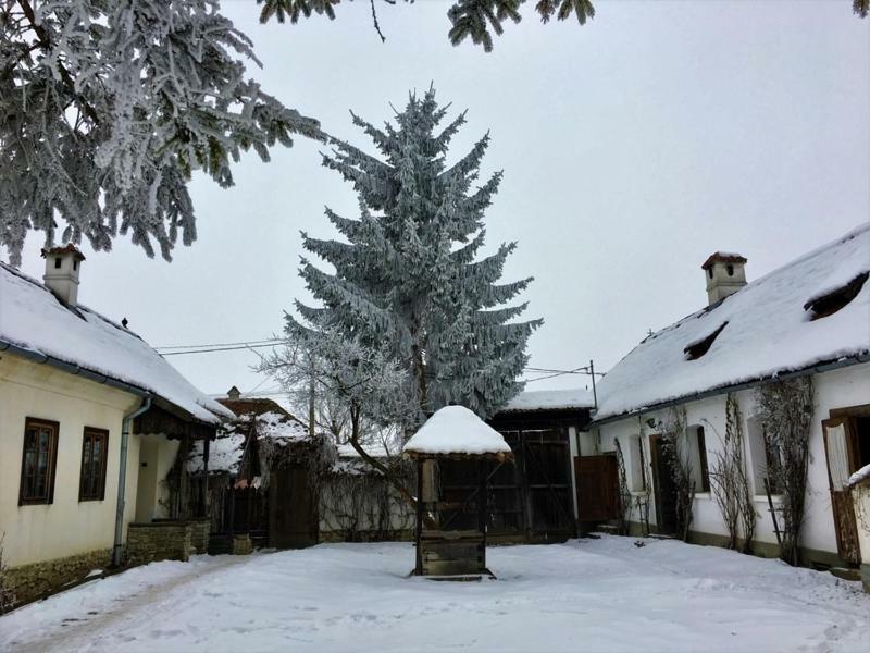 Count Kálnoky's Transylvanian Guesthouses Miclosoara Exterior foto